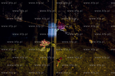 Biskupia Górka w Gdańsku.  Festiwal NARRACJE #8 "Królestwo...