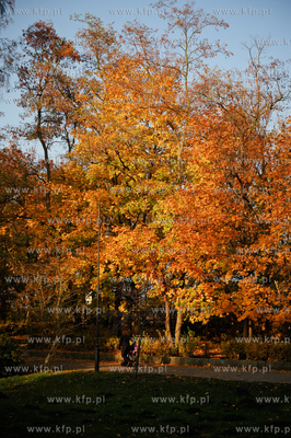 Gdansk. Park Jelitkowski.
06.11.2011
fot. Mateusz...