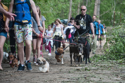 Gdynia Kolibki. Adventure Park. Festyn Edukacyjny pt....