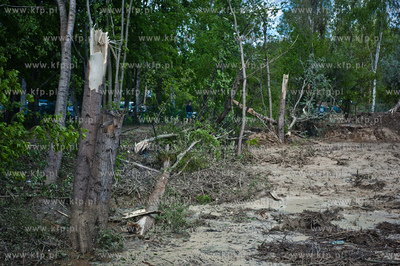 Gdynia Kolibki. Drzewa polamane przez burze.
19.05.2013
fot....