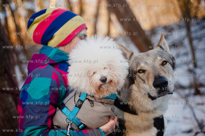 Gdynia. Polanka Redlowska. Pomorski Puchar Dogtrekkingu.
08.02.2014
fot....