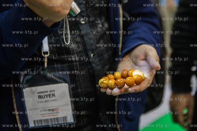 Miedzynarodowe Targi Gdanskie Amber Expo. Amberif -...