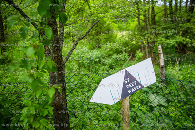 Gdansk. Dolina Radosci. Weekendowa akcja miejska Streetwaves.
31.05.2015
fot....