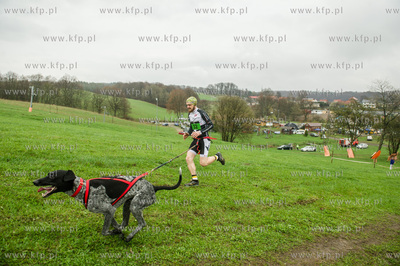 Przywidz. Puchar Polski w Wyscigach Psich Zaprzegow.
Nz...