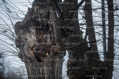 Gdańsk. Znajdująca się w ciągu Alei Zwyciestwa,...