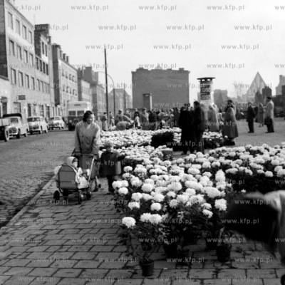Sprzedaż kwiatów na placu przed Halą Targową w...