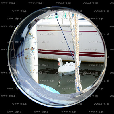 Przystan Jachtowa Marina Gdynia. IV Targi Sportow Wodnych...