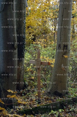 Opuszczony poniemiecki cmentarz w miejscowosci Osowo...