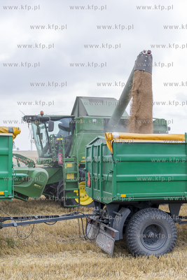 Żniwa we wsi Lignowy w powiecie Tczewskim na Kociewiu.
30.07.2019...