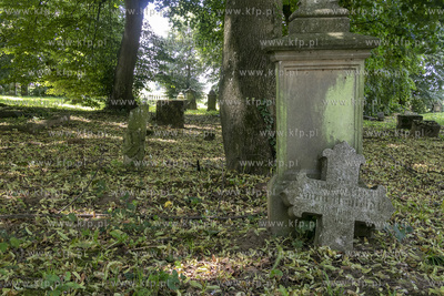 Cmentarz mennonicki z II połowy XVIII wieku w Stawcu...