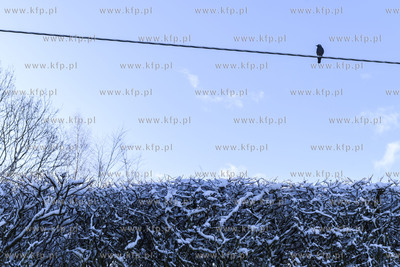 Zima we wsi Dobrzewino na Kaszubach w powiecie wejherowskim....