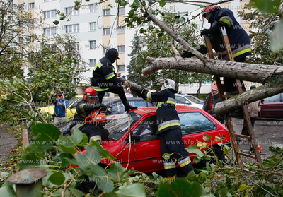 Gdansk. Wichura. Nz na powalone trzy drzewa na ulicy...