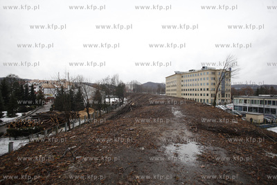 Wycinka drzew pod budowe trasy Pomorskiej Kolei Metropolitalnej...