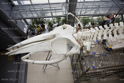 Wydział Biologii Uniwersytetu Gdańskiego. Montaż...