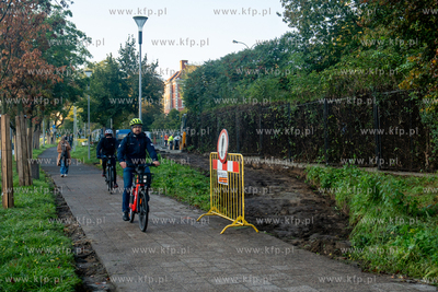 Budowa drogi rowerowej w ciągu ul. 3-go Maja na odcinku...