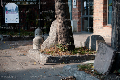 Gdansk. Orunia. Lapidarium Orunskie.
18.10.2011
fot....