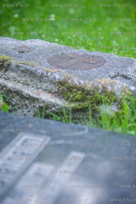 Gdańsk. Lapidarium w parku Akademickim. 17.07.2017...