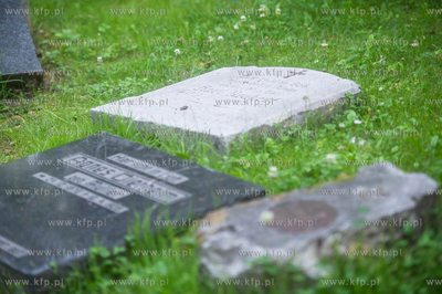 Gdańsk. Lapidarium w parku Akademickim. 17.07.2017...