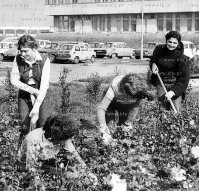 Grupa uczennic z Technikum Przemyslu Spozywczego pracuje...