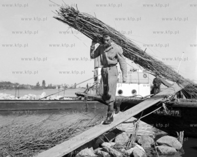 Pracownicy Rejonu Dróg Wodnych z Tczewa przy budowie...