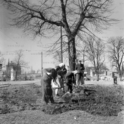 Prace porządkowe na terenach zielonych w Gdańsku....