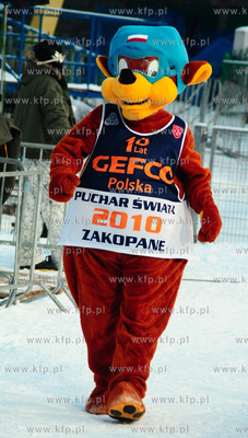 Zakopane. Puchar Swiata 2010 w skokach narciarskich...