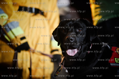 XIX Final Wielkiej Orkiestry Swiatecznej Pomocy na...