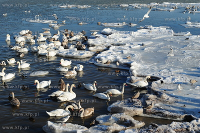 Sopot. Mrozna niedziela na plazy i molo w Sopocie....