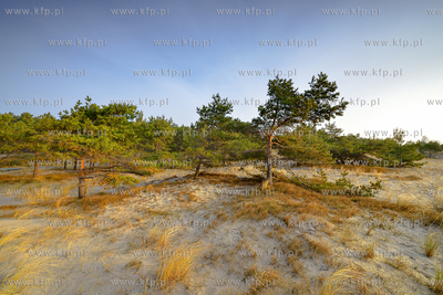 Plaza w Helu. 29.03.2015 Fot. Jan harb Sieminski/KFP