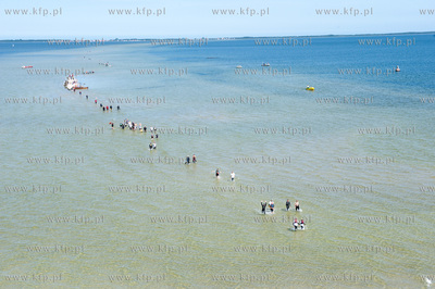 Marsz Sledzia odbywa sie Rybitwia Mielizna (Rewa Mew)...