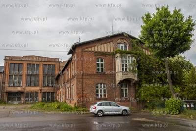 Botaniczny Pruszcz. Spacer badawczy śladem roślin...