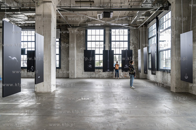 Gdańsk Stocznia. Plenum. Wystawy 4 autorów: Damian...