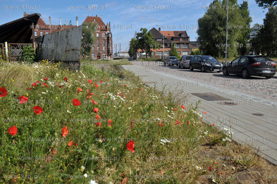 Gdansk. Tereny bylej Stoczni Gdanskiej tzw. Mlode Miasto....