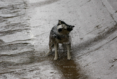Gdynia. Bulwar nadmorski. Sztorm na Zatoce Gdanskiej....