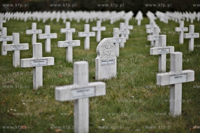Cmentarz zolnierzy francuskich w Gdansku. 23.10.2012...