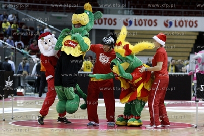 Ergo Arena.Tauron Basket Liga. Trefl Sopot - Turow...