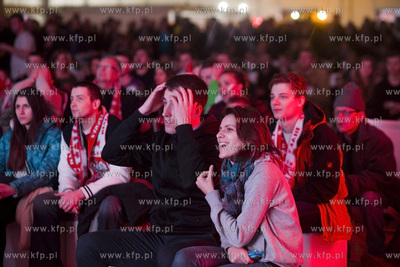 Mistrzostwa Europy w piłce ręcznej. Kibice oglądają...