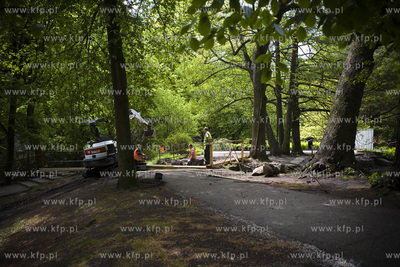 Remont mostków w Parku Oliwskim.
18.05.2016
fot....