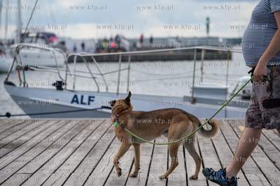 Sopot,  Marina Sopocka.  25.07.2023/ fot.  Anna Rezulak...