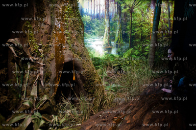 Uniwersytet Gdanski. Wydzial Zycie w lesie bursztynowym...