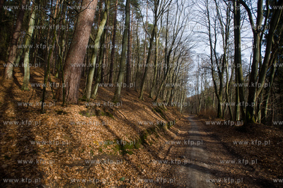 Gdansk. Oliwa, Trojmiejski Park Krajobrazowy. Sciezka...