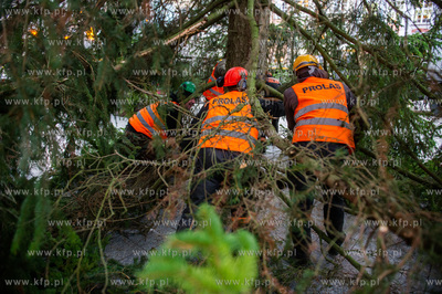 Gdansk. Dlugi Targ. Operacja stawiania swiatecznej...