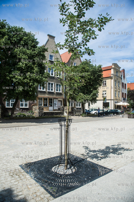Gdańsk. Ulica Grobla. 18.07.2017 fot. Mateusz Ochocki...