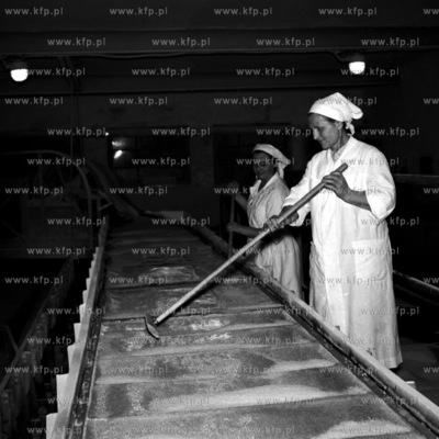 Linia produkcyjna w cukrowni. (lata60)
1961
0005252z_przemysl
Fot....
