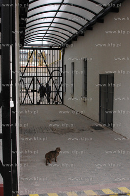 Areszt Sledczy na ul. Kurkowej w Gdansku. n/z kot 3.12.2005...