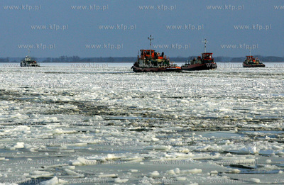 Szczecin. Wspolna akcja polskich ( Dzik, Lis, Zbik,...