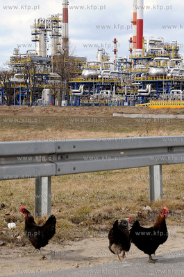 Gdansk. Elementy instalacji rafinerii Grupy Lotos S.A.
29.03.2011
fot....