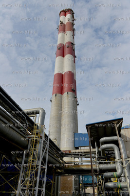 EDF Wybrzeze S.A. zaprosilo mieszkancow Gdyni, Rumi...