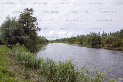 Rzeka Tuga na Zulawach. 01.08.2015 Fot. Daniel Sloboda...
