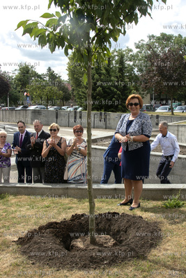 Uroczyste posadzenie magnolii na placu Jana Pawła...